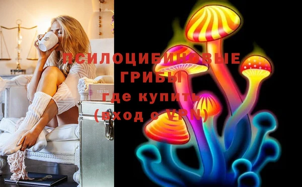 каннабис Новодвинск